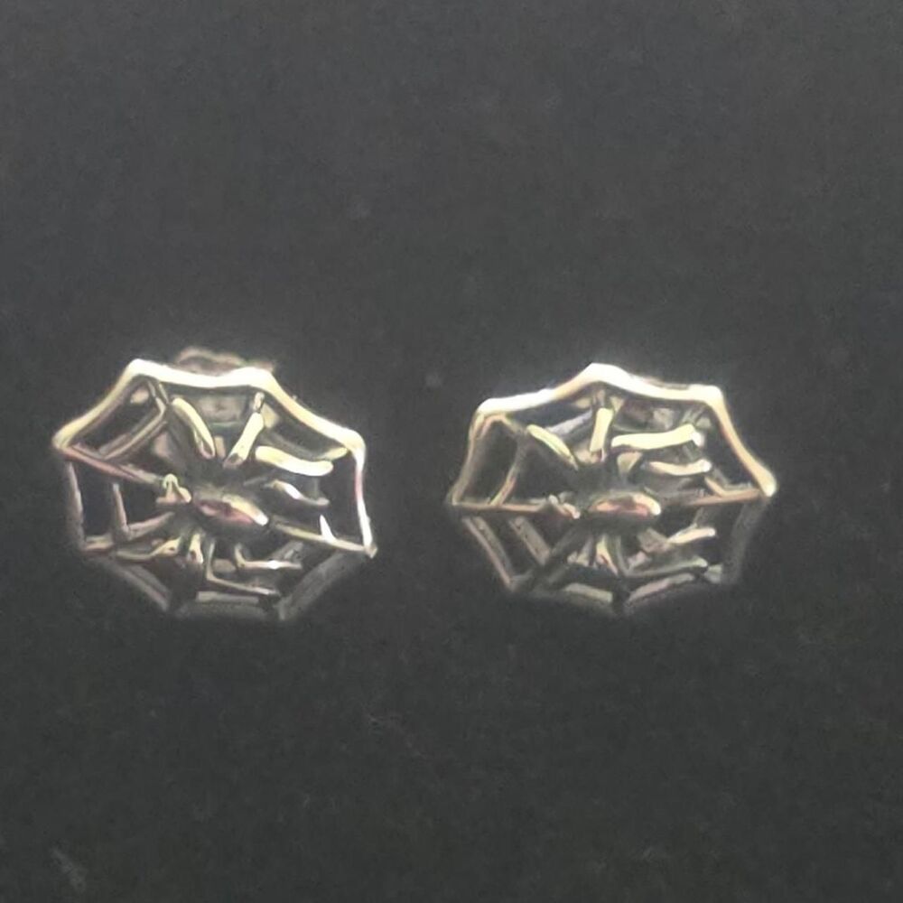 Sterling Silver Gothic Spiderweb Stud Earrings Spooky Celestial Jewelry